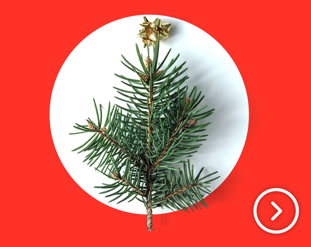 Праздничная атрибутика и рождественские елки для вашего дома