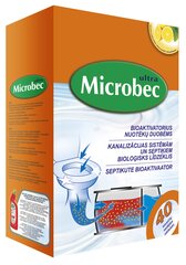 MICROBEC bioaktyvatorius nuotėkų duobėms, 1 kg цена и информация | Микроорганизмы, бактерии | pigu.lt