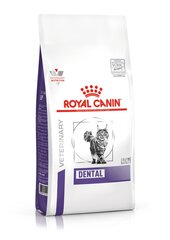 Royal Canin sveikiems dantims Cat dental, 1,5 kg kaina ir informacija | Sausas maistas katėms | pigu.lt