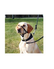 Намордник Trixie Top Trainer, M, 27 см цена и информация | Средства для дрессировки собак | pigu.lt