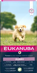 Eukanuba sausas pašaras didelių ir labai didelių veislių šuniukams su ėriena ir ryžiais, 12 kg kaina ir informacija | Sausas maistas šunims | pigu.lt
