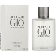 Giorgio Armani Acqua di Gio EDT для мужчин 100 мл цена и информация | Мужские духи | pigu.lt
