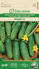 Paprastieji trumpavaisiai agurkai Mandy H kaina ir informacija | Daržovių, uogų sėklos | pigu.lt