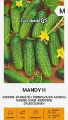 Paprastieji trumpavaisiai agurkai Mandy H kaina ir informacija | Daržovių, uogų sėklos | pigu.lt