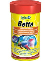 Tetra betta, 100 ml цена и информация | Корм для рыб | pigu.lt