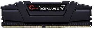 G.Skill Ripjaws V DDR4, 16GB, 3200MHz, CL16 (F4-3200C16S-16GVK) kaina ir informacija | Operatyvioji atmintis (RAM) | pigu.lt