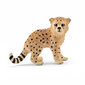 Figūrėlė gepardas jaunuolis, Schleich
