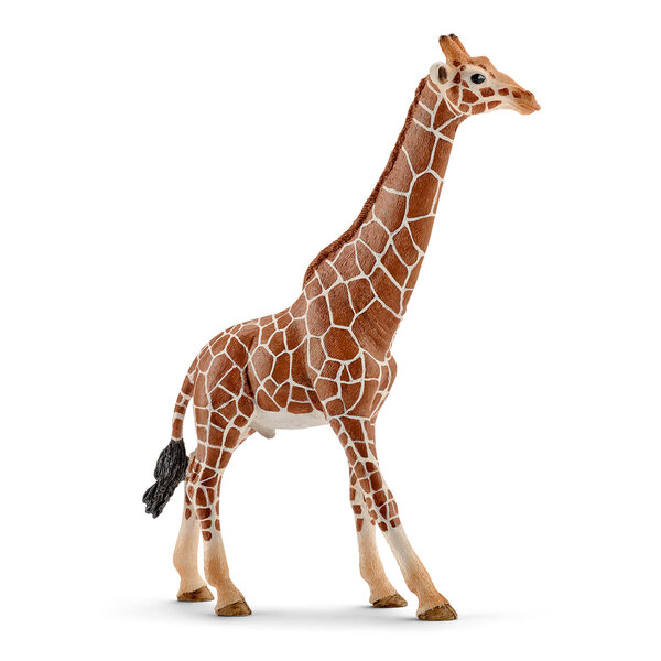 Figūrėlė Žirafos patinas Schleich kaina ir informacija | Žaislai berniukams | pigu.lt