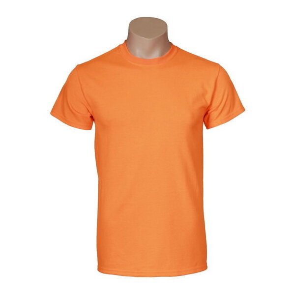 Marškinėliai Gildan kaina ir informacija | Darbo rūbai | pigu.lt