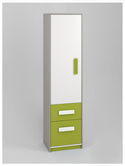 Шкаф IQ 05, зелёный цена и информация | Детские шкафы | pigu.lt