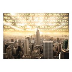 Fototapetai Niujorko kaimynai, 100x70 cm kaina ir informacija | Fototapetai | pigu.lt
