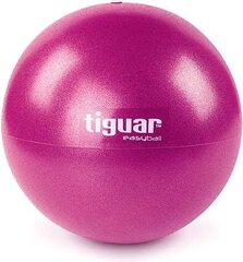 Kamuolys mankštai Tiguar Easy Ball, 25cm kaina ir informacija | Gimnastikos kamuoliai | pigu.lt