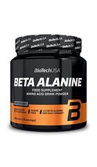 Biotech Beta Alanine 300 g. kaina ir informacija | Aminorūgštys | pigu.lt