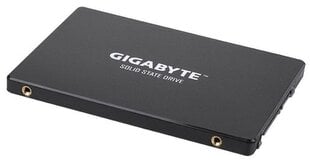 GIG GP-GSTFS31256GTND цена и информация | Внутренние жёсткие диски (HDD, SSD, Hybrid) | pigu.lt