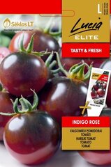 Valgomieji pomidorai Indigo Rose kaina ir informacija | Daržovių, uogų sėklos | pigu.lt