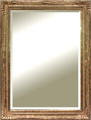Зеркало Cesena, 120x90 см, коричневое цена и информация | Зеркала | pigu.lt