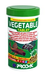 Prodac Vegetable Tablet веганские таблетки для рыб, живущих на дне 100мл 60г цена и информация | Корм для рыб | pigu.lt