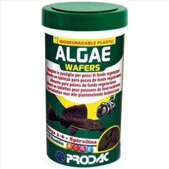Prodac Algae Wafers растительные пастилы для рыб 1200 мл 550 г цена и информация | Корм для рыб | pigu.lt