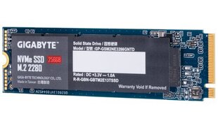 Gigabyte GP-GSM2NE3256GNTD цена и информация | Внутренние жёсткие диски (HDD, SSD, Hybrid) | pigu.lt