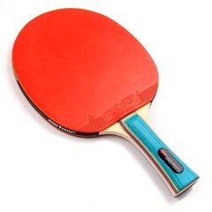 Stalo teniso raketė METEOR ZEPHYR kaina ir informacija | Stalo teniso raketės, dėklai ir rinkiniai | pigu.lt