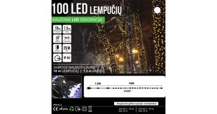 LED 100 Уличная гирлянда 10м, вспышка цена и информация | Гирлянды | pigu.lt