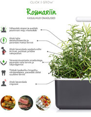 Click and Grow Smart Garden Refill 3 pakuotės, Rozmarinas kaina ir informacija | Daigyklos | pigu.lt