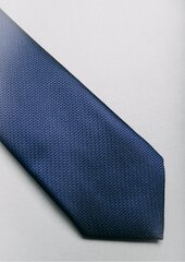 Kaklaraištis Branchess, mėlynas kaina ir informacija | Kaklaraiščiai, peteliškės | pigu.lt