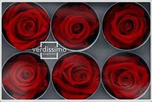 Stabilizuotos Standard rožės 6 vnt., raudona kaina ir informacija | Miegančios rožės, stabilizuoti augalai | pigu.lt
