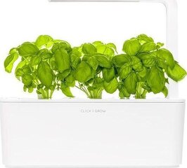 Click and Grow Smart Garden Refill 3 pakuotės, Bazilikas kaina ir informacija | Daigyklos | pigu.lt