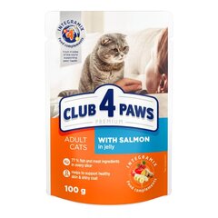 CLUB 4 PAWS Premium visavertis konservuotas ėdalas suaugusioms katėms su lašiša drebučiuose, 100 g x 24 vnt. цена и информация | Консервы для кошек | pigu.lt