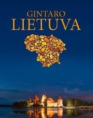 Gintaro Lietuva kaina ir informacija | Knygos apie architektūrą | pigu.lt