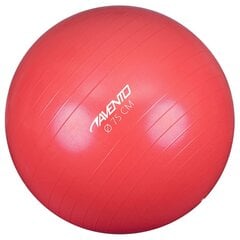 Gimnastikos kamuolys Avento 75cm, rožinis kaina ir informacija | Gimnastikos kamuoliai | pigu.lt