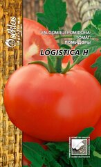 Помидоры Logistica H цена и информация | Семена овощей, ягод | pigu.lt