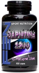 Fen Carnitine 1200, 100 kapsulių kaina ir informacija | L-karnitinas | pigu.lt