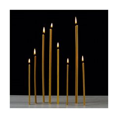 100 vnt. Bičių vaško žvakių geltonos spalvos Danilovo No20, 2000 g. kaina ir informacija | Bažnytinės žvakės, žvakidės | pigu.lt