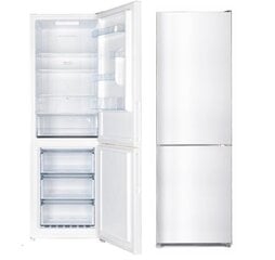 Snaigė RF59FG-P500260 kaina ir informacija | Šaldytuvai | pigu.lt