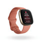 Fitbit Versa 3, Pink Clay/Soft Gold Aluminum kaina