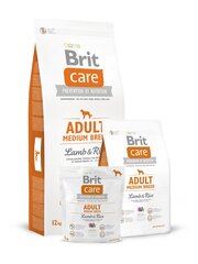 Brit Care Adult для собаки средней породы с ягненком и рисом, 12 кг цена и информация |  Сухой корм для собак | pigu.lt