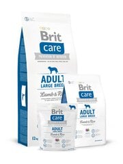 Brit Care Adult didelių veislių šunims​, 12 kg kaina ir informacija | Sausas maistas šunims | pigu.lt