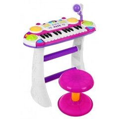 Muzikinė klaviatūra su mikrofonu B15 цена и информация | Развивающие игрушки | pigu.lt