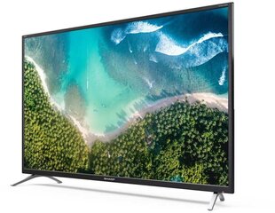 Sharp 32BI2EA kaina ir informacija | Televizoriai | pigu.lt