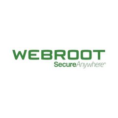 Webroot 11100130 kaina ir informacija | Antivirusinės programos | pigu.lt