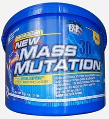 Megabol New Mass Mutation, 2.27 kg kaina ir informacija | Papildai ir preparatai masei auginti | pigu.lt