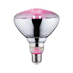 LED augalinės lempos PAR38 E27 6.5W kaina ir informacija | Elektros lemputės | pigu.lt