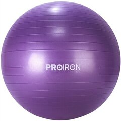 Gimnastikos kamuolys su pompa Proiron PRO-YJ01-5 65 cm, violetinis kaina ir informacija | Gimnastikos kamuoliai | pigu.lt