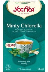 Yogi Tea Minty Chlorella prieskoninė arbata, 17x2 g kaina ir informacija | Arbata | pigu.lt