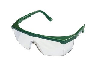 Apsauginiai akiniai Dunlin kaina ir informacija | Galvos apsauga | pigu.lt