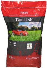 Vejinių žolių mišinys Turbo kaina ir informacija | Vejiniai žolių mišiniai | pigu.lt