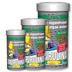 Augalinis maistas žuvims JBL Spirulina Premium 250 ml цена и информация | Корм для рыб | pigu.lt