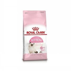 royal canin kitten kaina